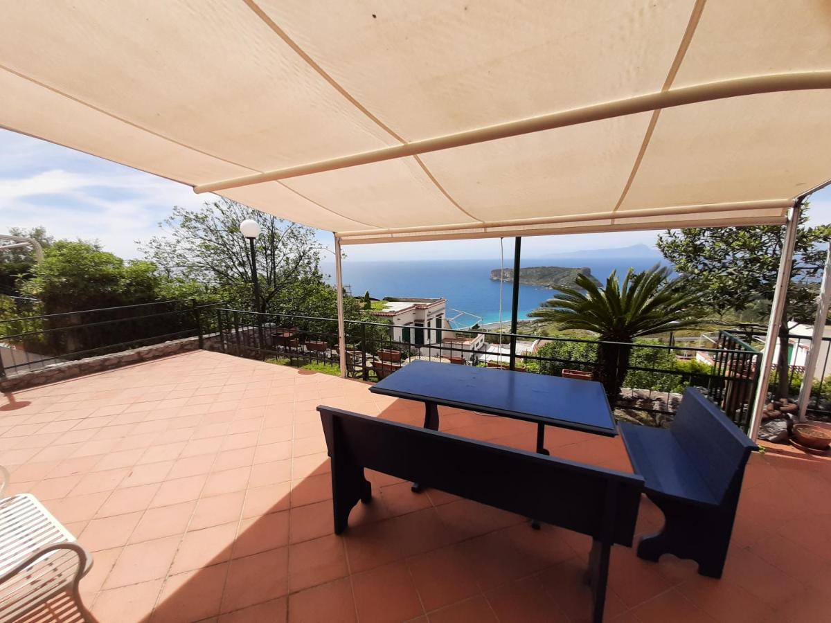 Arcomagno Guest House San Nicola Arcella Exterior photo